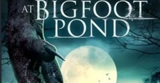 Terror at Bigfoot Pond (2020) stream