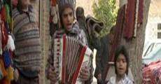 The Accordion (2010)
