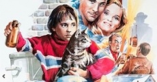 Ver película The Alley Cat