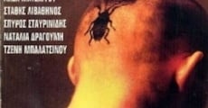 O ergenis (1997) stream