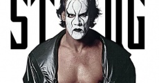 Película The Best of Sting