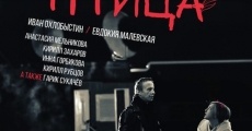 Ptitsa (2017)