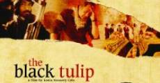 Película The Black Tulip