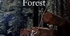 The Blazing Forest film complet