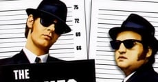 The Blues Brothers (1980) stream