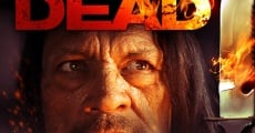 Película The Burning Dead (Vulcano Zombies)