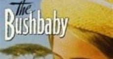 Filme completo The Bushbaby