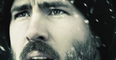 The Captive: Spurlos verschwunden streaming