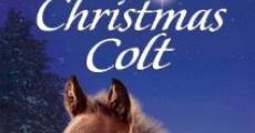 Película The Christmas Colt