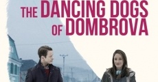 The Dancing Dogs of Dombrova (2018) stream