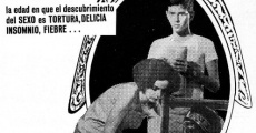 Los días del amor (1972) stream