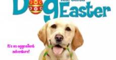 The Dog Who Saved Easter (2014)