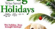 The Dog Who Saved the Holidays (2012) stream