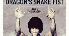 Película The Dragon's Snake Fist