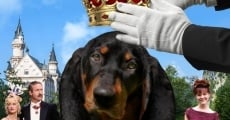 Lord Hubert - Hundeadel verpflichtet streaming