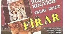 Firar (1984)