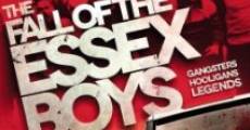 The Fall of the Essex Boys (2013) stream