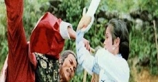 Hong quan da shi (1978)