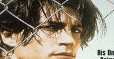 The Fence (1994) stream