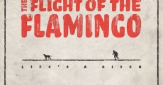 Película The Flight of the Flamingo