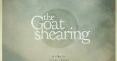 The Goat Shearing