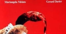 Il buon soldato (1982) stream