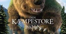 L'ours montagne streaming