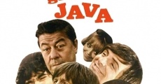 Película The Great Java