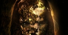 The Hollow Child
