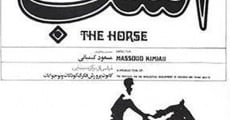 Ver película The Horse