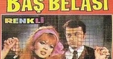 Kad?n De?il Ba? Belas?