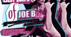 Película The Last Days of Joe Blow