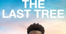 The Last Tree (2019)