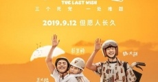 Xiao xiao de yuan wang (2019) stream