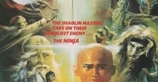 Película The Little Hero of Shaolin Temple