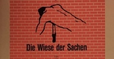 Filme completo Die Wiese der Sachen