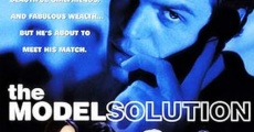 Ver película The Model Solution