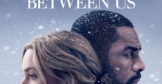 The Mountain Between Us (2017) stream