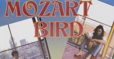 The Mozart Bird