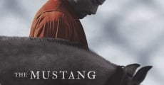 The Mustang (2019)