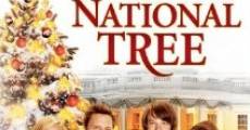 Película The National Tree