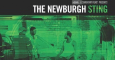 The Newburgh Sting streaming