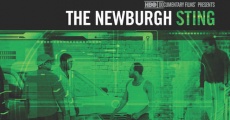 The Newburgh Sting (2014)