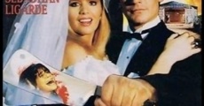 La pareja perfecta (1991) stream