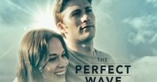 Ver película The Perfect Wave