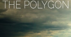 The Polygon