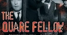 The Quare Fellow (1962) stream