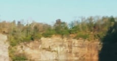 The Quarry