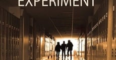 The Rainbow Experiment (2018) stream