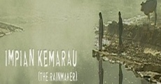 Película The Rainmaker